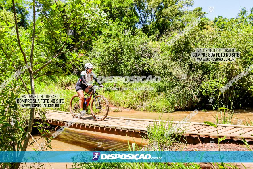 3° Desafio 100km de Terra