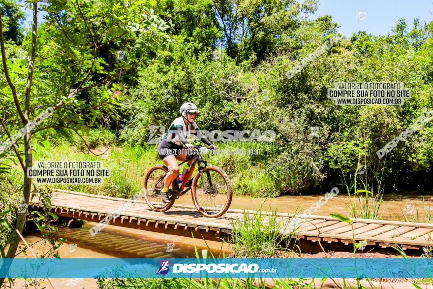 3° Desafio 100km de Terra