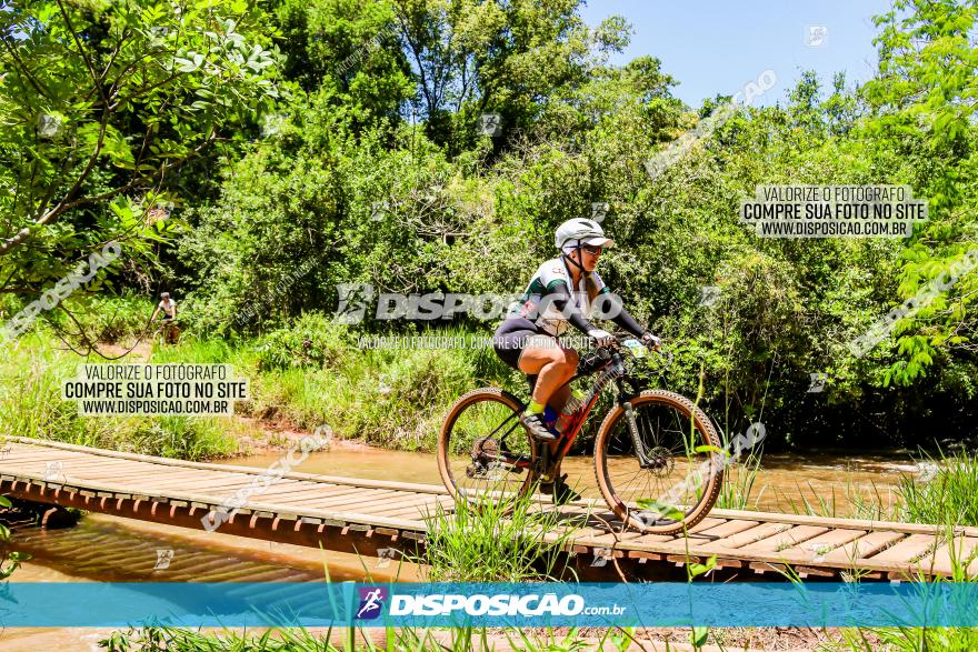 3° Desafio 100km de Terra