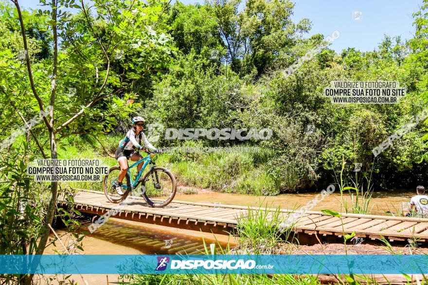 3° Desafio 100km de Terra