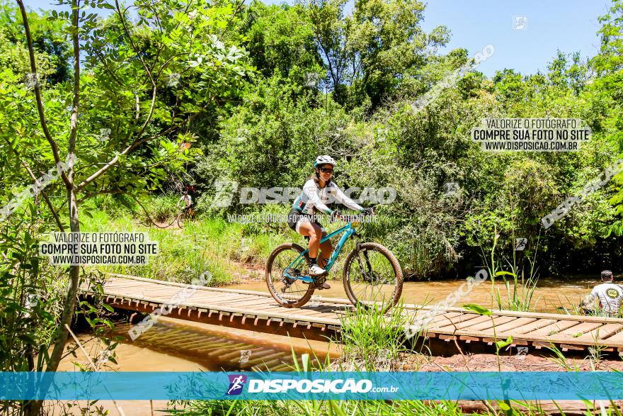 3° Desafio 100km de Terra