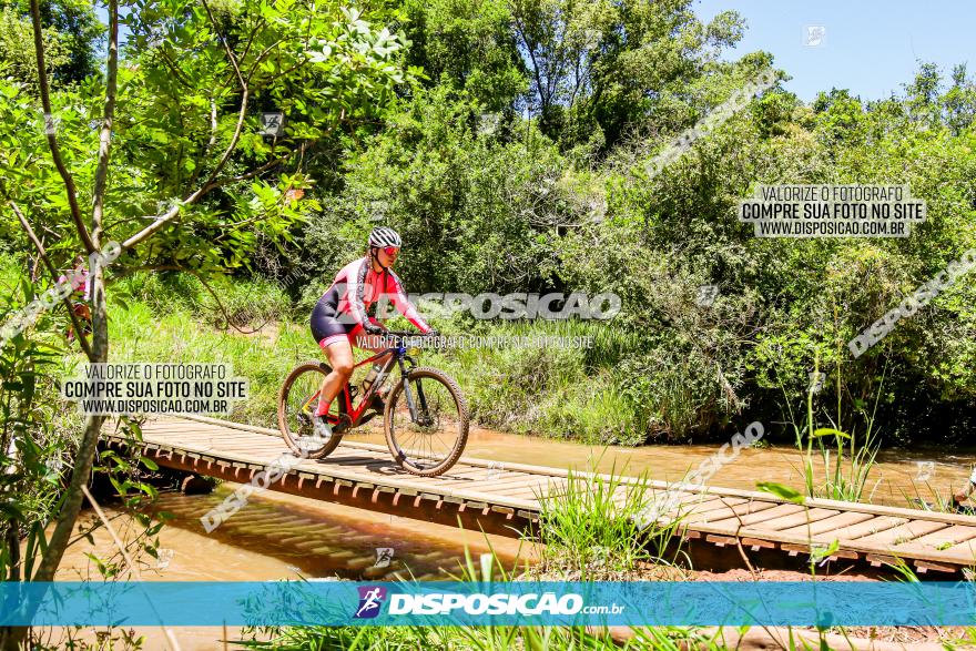 3° Desafio 100km de Terra