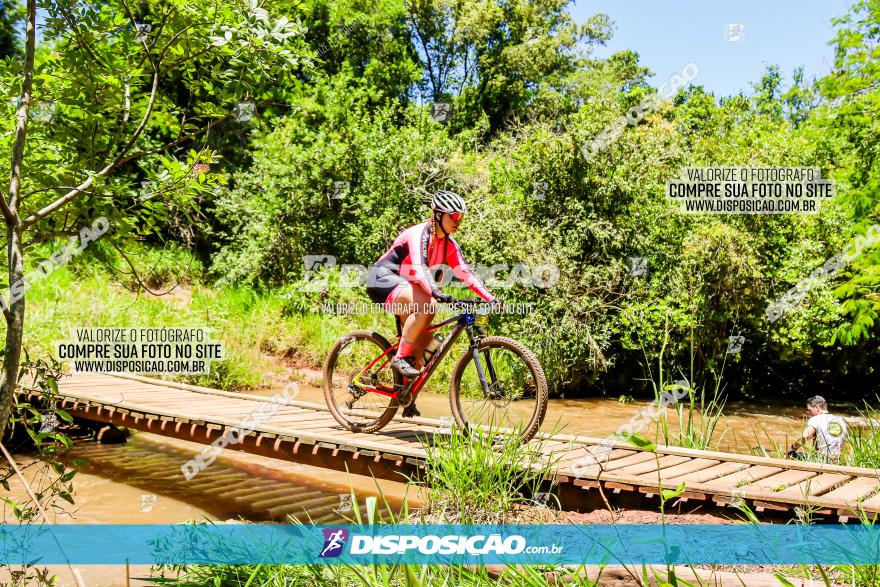 3° Desafio 100km de Terra