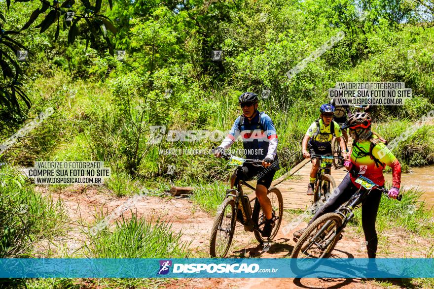 3° Desafio 100km de Terra