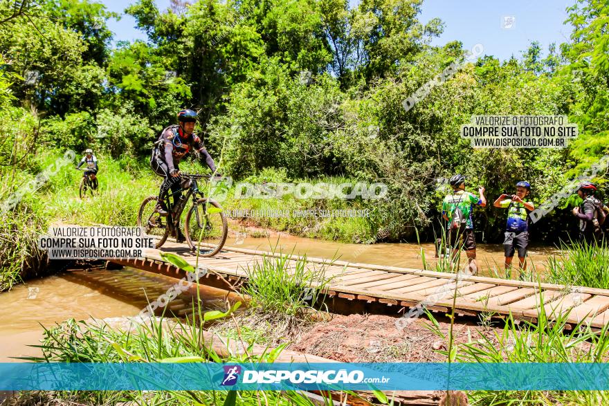 3° Desafio 100km de Terra