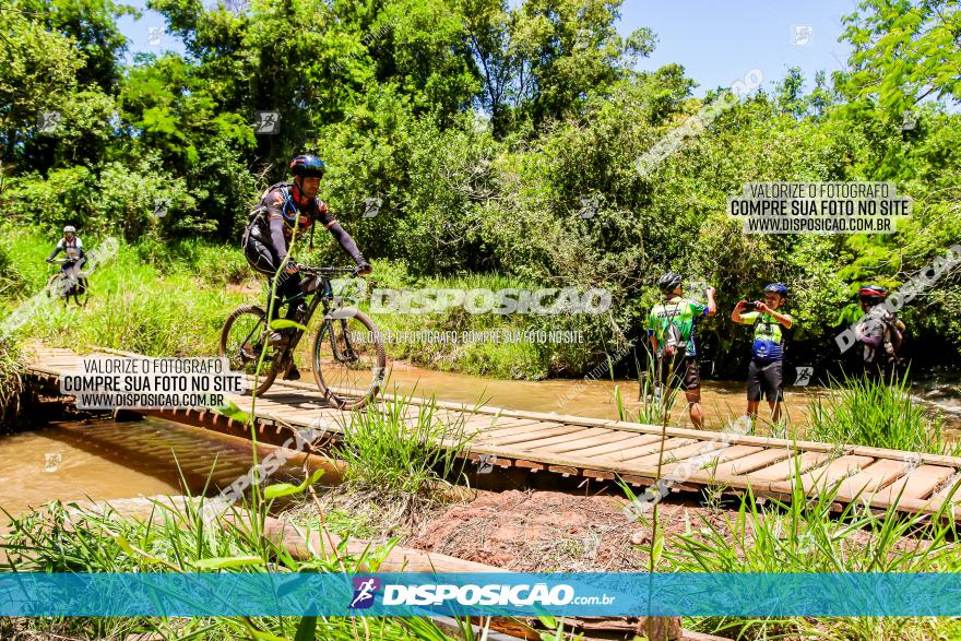 3° Desafio 100km de Terra