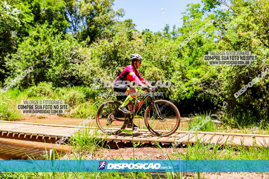 3° Desafio 100km de Terra