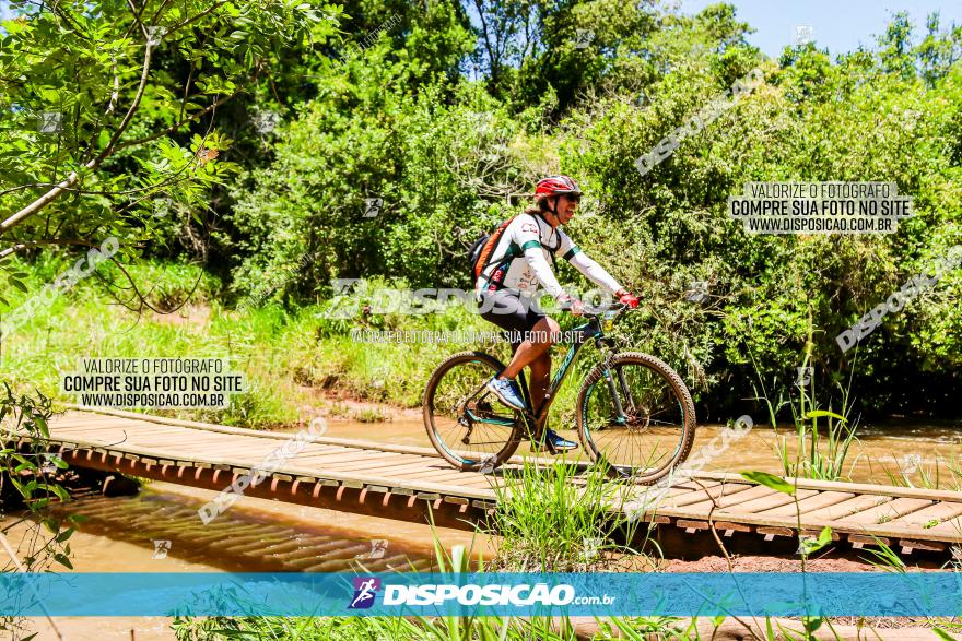 3° Desafio 100km de Terra