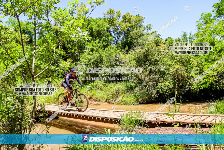 3° Desafio 100km de Terra