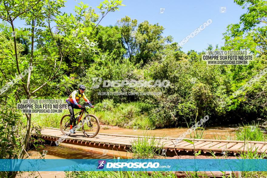 3° Desafio 100km de Terra