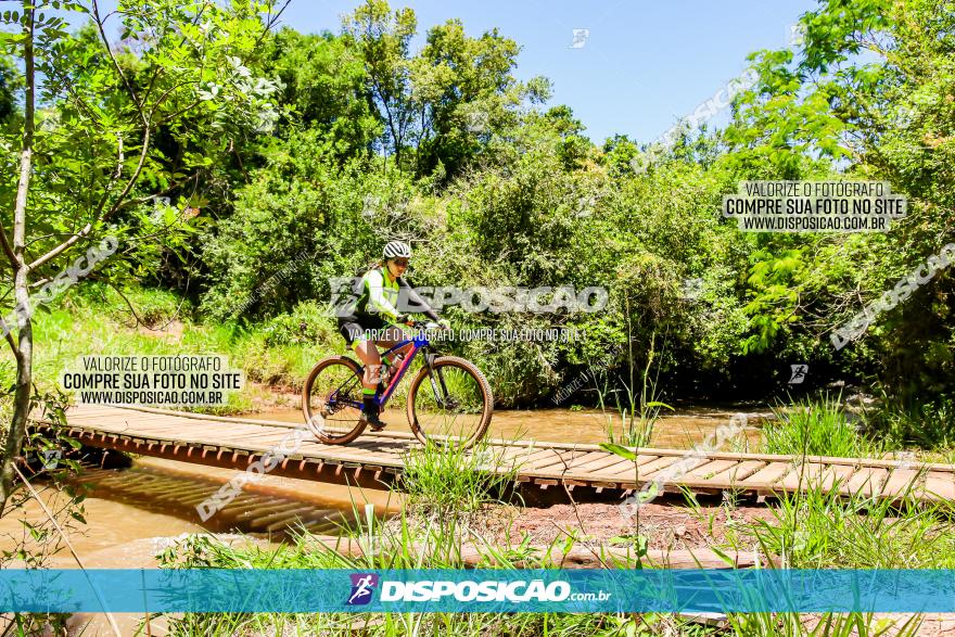 3° Desafio 100km de Terra