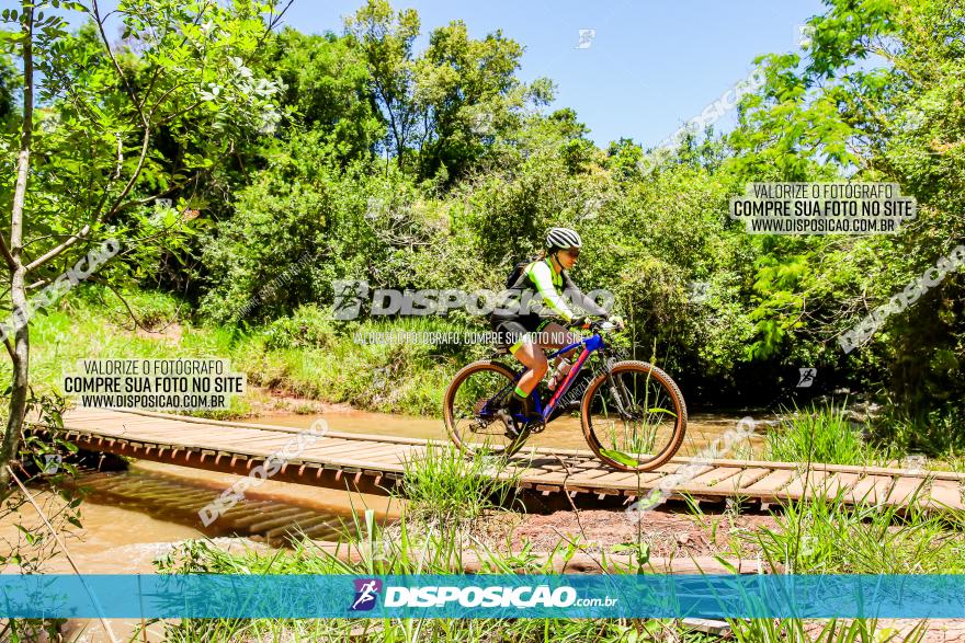 3° Desafio 100km de Terra