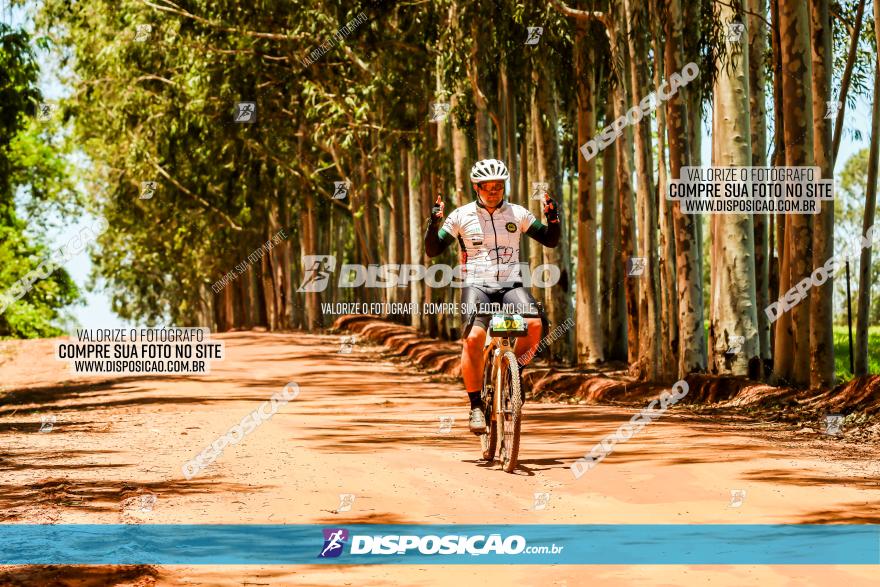 3° Desafio 100km de Terra