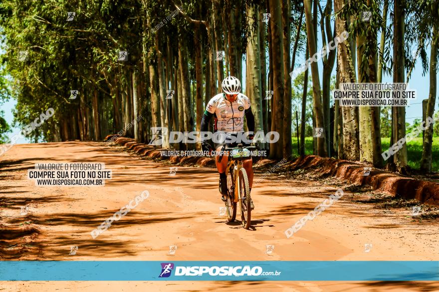 3° Desafio 100km de Terra