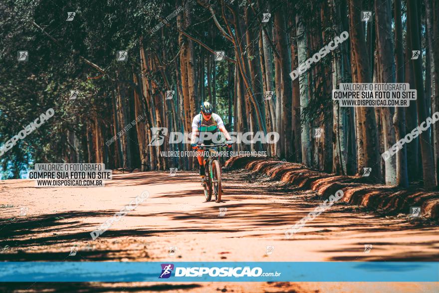 3° Desafio 100km de Terra