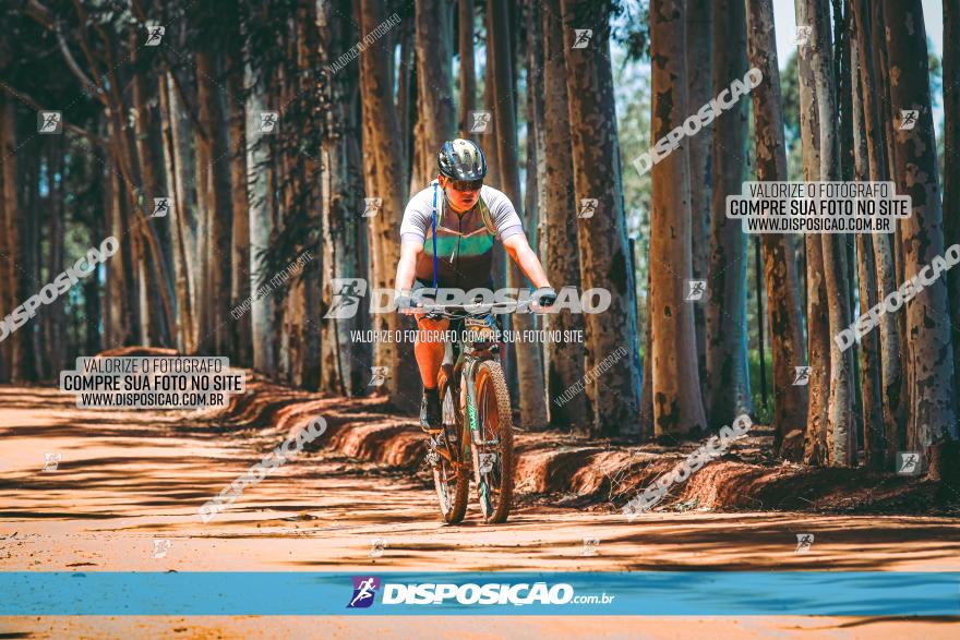 3° Desafio 100km de Terra