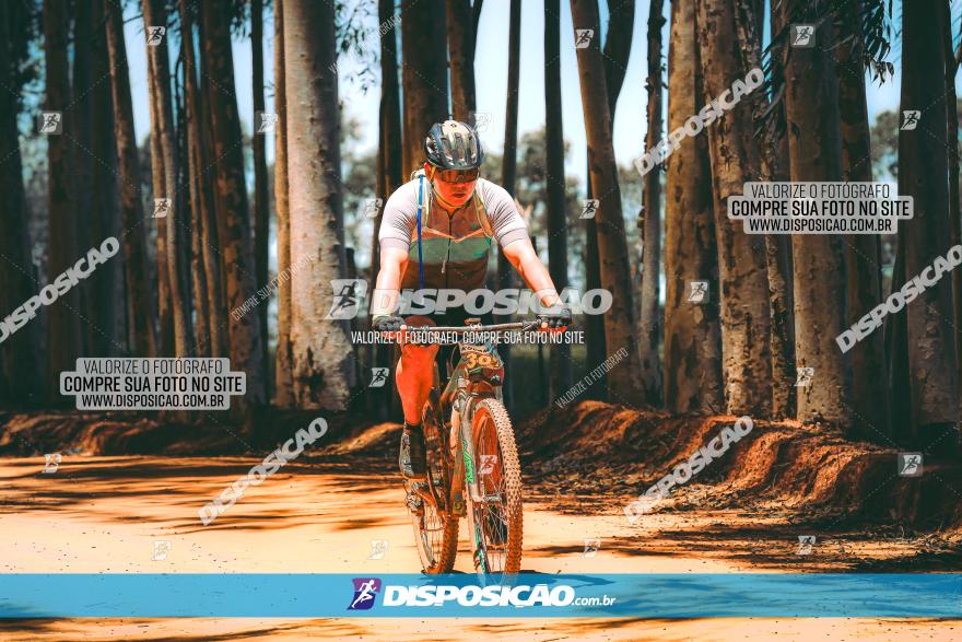 3° Desafio 100km de Terra