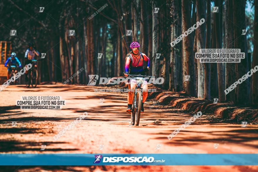 3° Desafio 100km de Terra