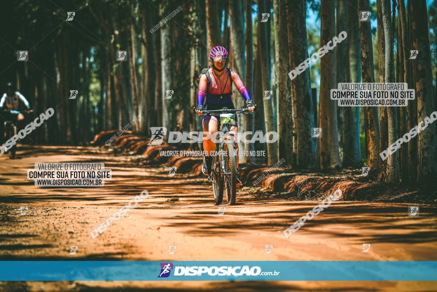 3° Desafio 100km de Terra