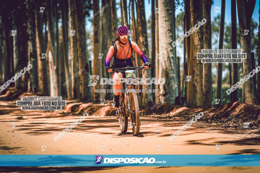 3° Desafio 100km de Terra