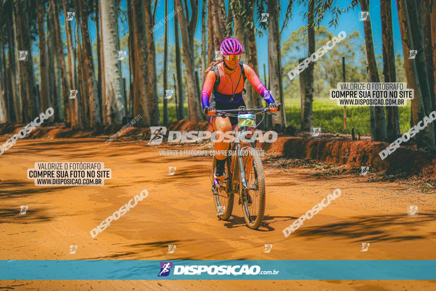 3° Desafio 100km de Terra