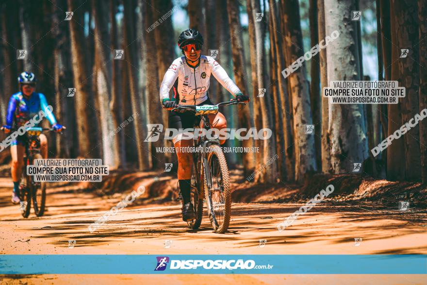 3° Desafio 100km de Terra