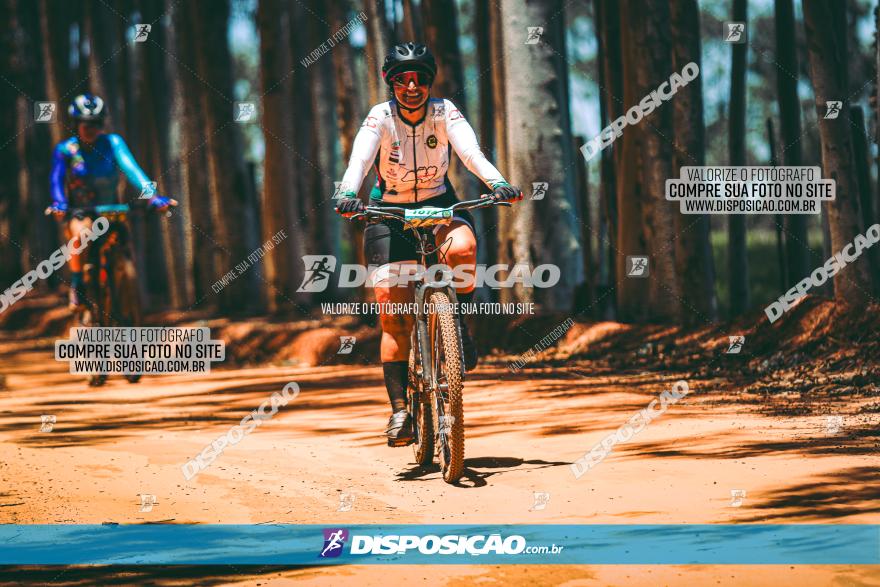 3° Desafio 100km de Terra