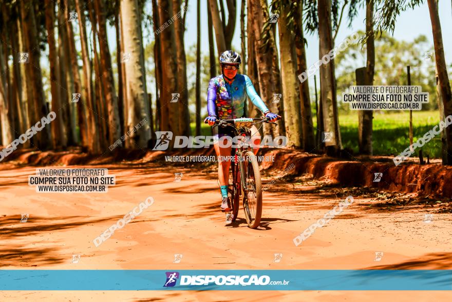 3° Desafio 100km de Terra