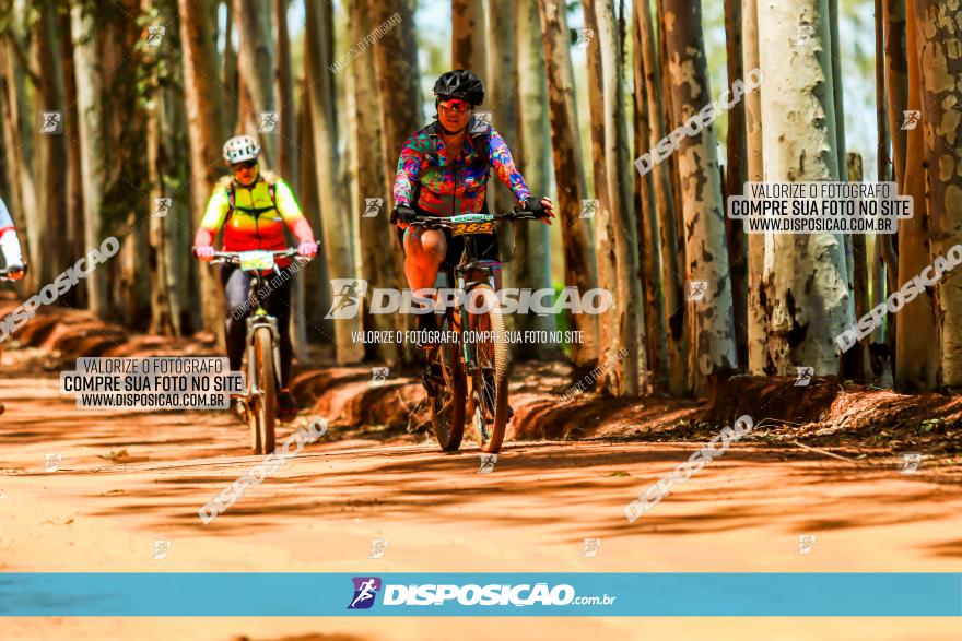 3° Desafio 100km de Terra