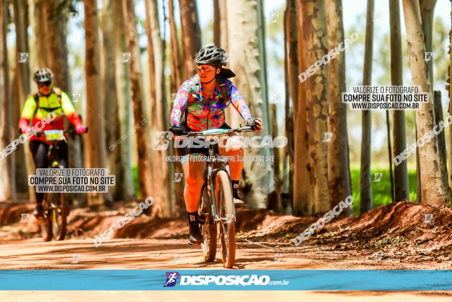 3° Desafio 100km de Terra