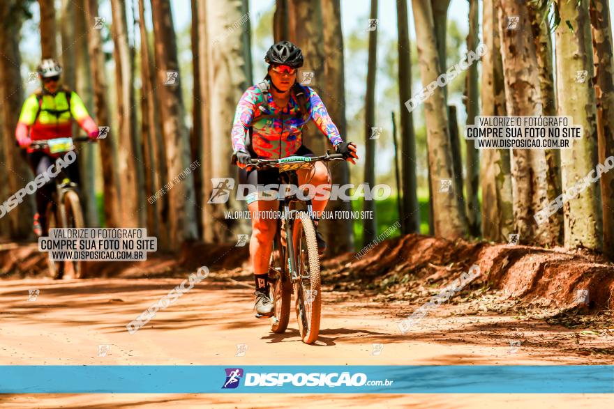 3° Desafio 100km de Terra