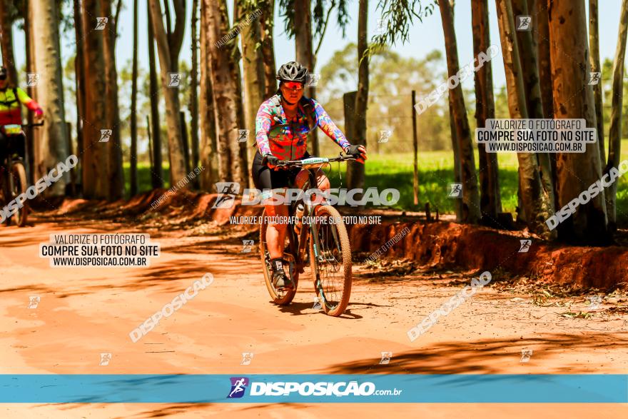 3° Desafio 100km de Terra