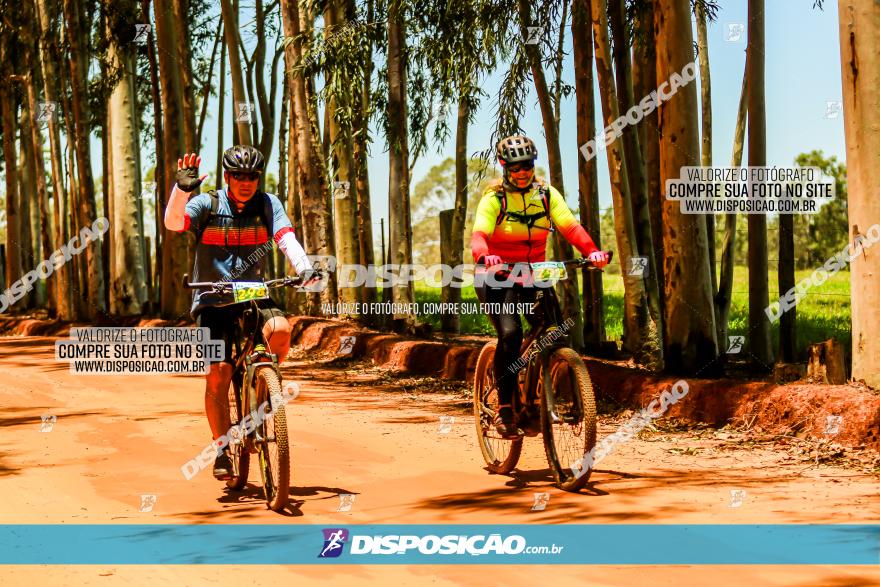 3° Desafio 100km de Terra