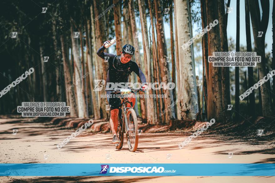 3° Desafio 100km de Terra