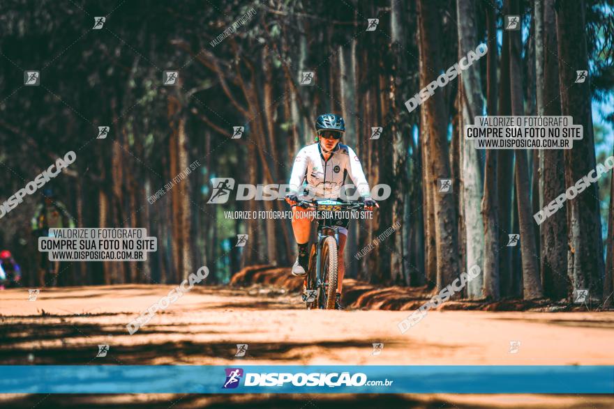 3° Desafio 100km de Terra