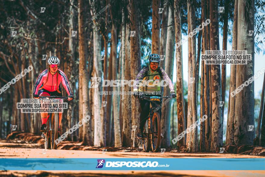 3° Desafio 100km de Terra