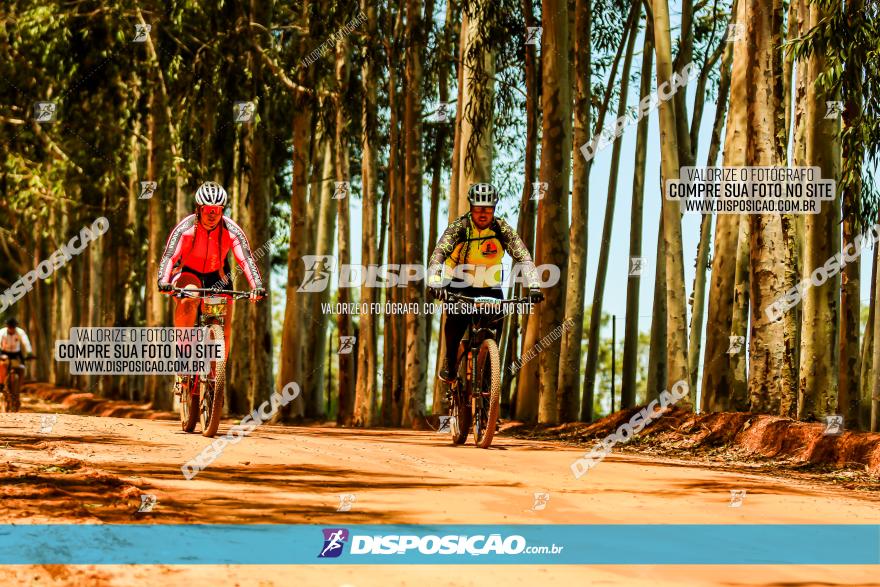 3° Desafio 100km de Terra