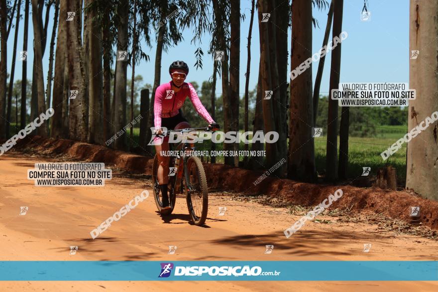 3° Desafio 100km de Terra