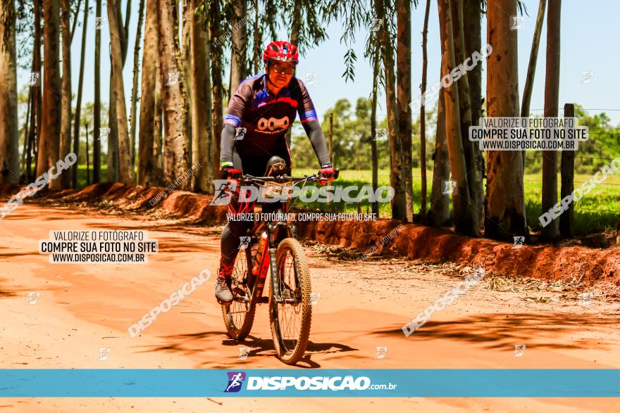 3° Desafio 100km de Terra