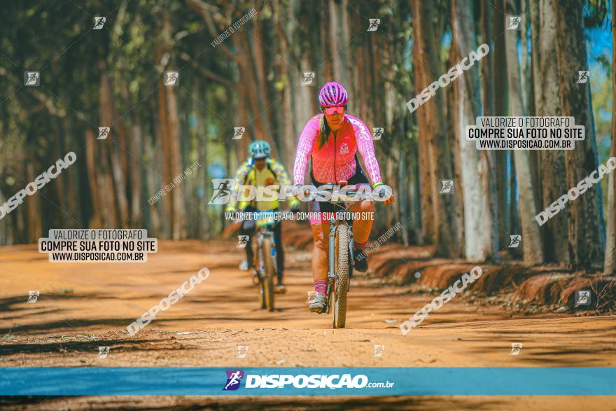 3° Desafio 100km de Terra