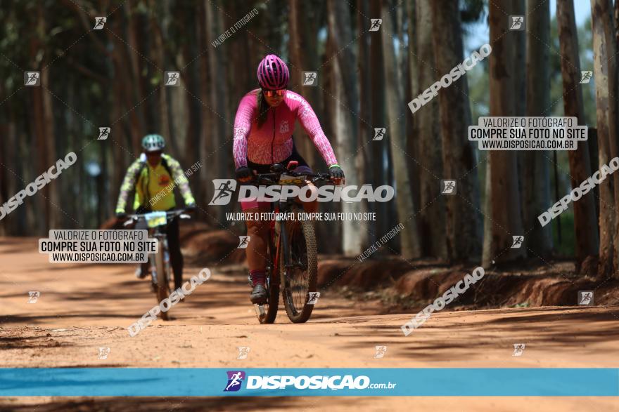 3° Desafio 100km de Terra