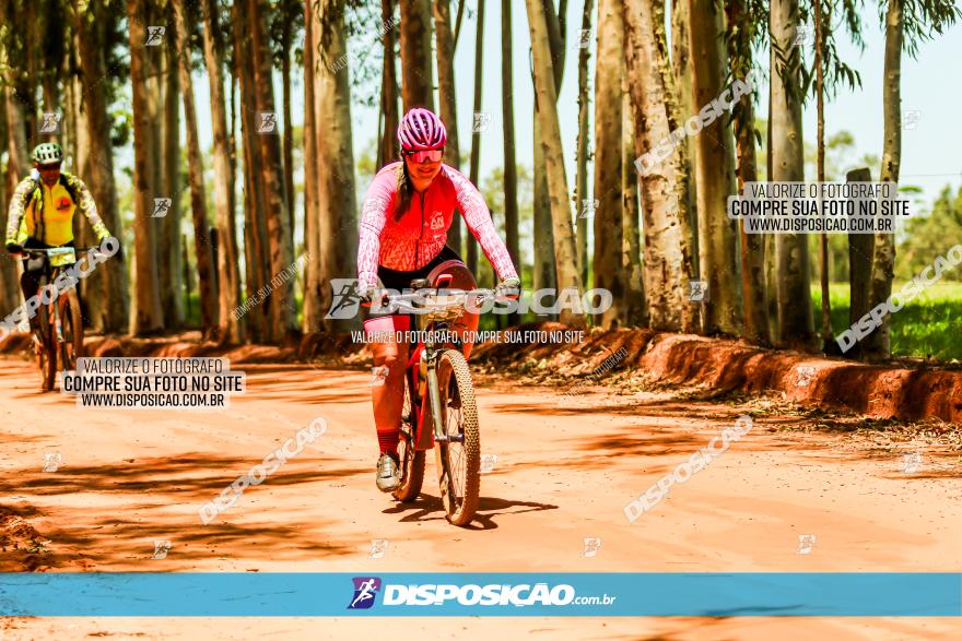 3° Desafio 100km de Terra