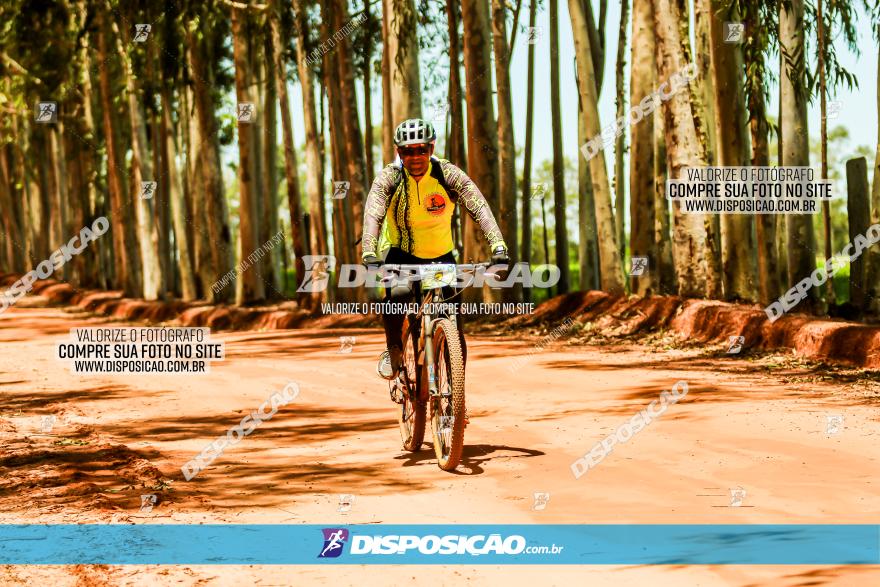 3° Desafio 100km de Terra