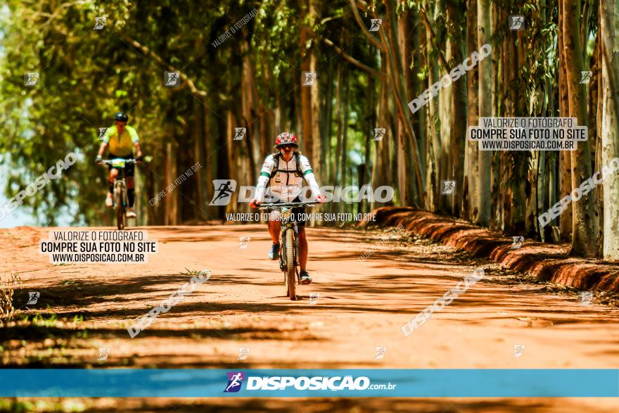 3° Desafio 100km de Terra