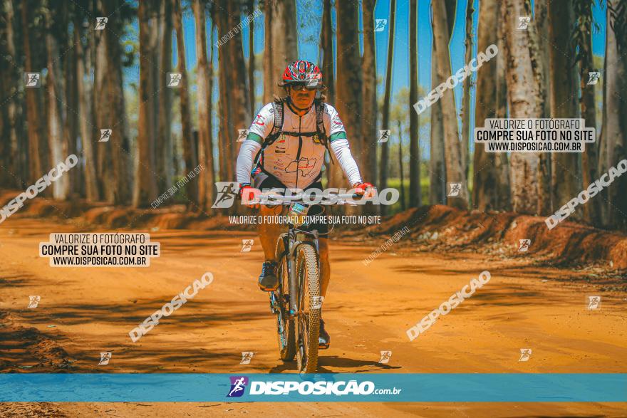 3° Desafio 100km de Terra