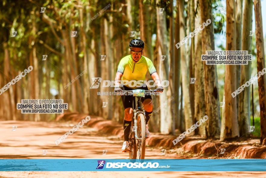 3° Desafio 100km de Terra