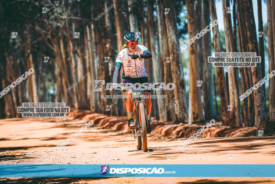 3° Desafio 100km de Terra