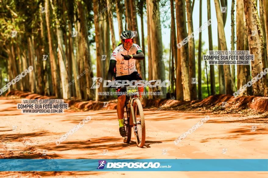 3° Desafio 100km de Terra