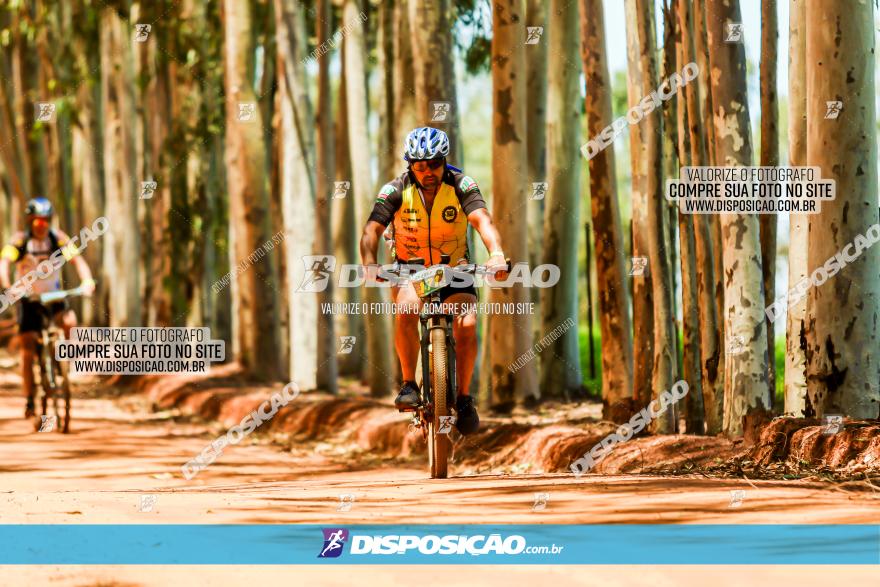 3° Desafio 100km de Terra