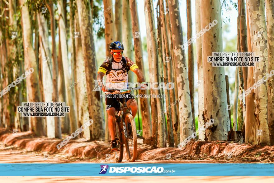 3° Desafio 100km de Terra